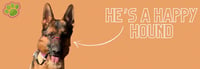 Happy Hounds Pet Services logo