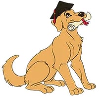 Clever Canines Dog Training logo