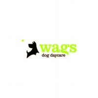 Wags Dog Day Care Limited logo
