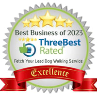Fetch Your Lead Dog Walking Service logo