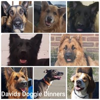 David's Doggie Dinners Ltd logo