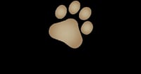Deborah Turner Dog Day Care And Animal Holistics logo