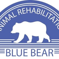 Blue Bear Animal Rehabilitation logo