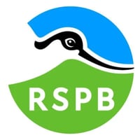 RSPB Gwenffrwd / Dinas logo