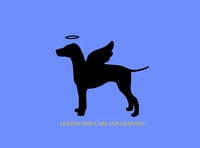 Golden Dog Care and Training logo