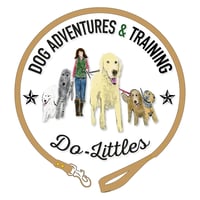 Do-Littles logo