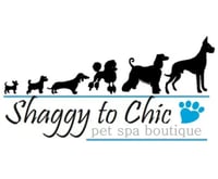 Shaggy to Chic logo