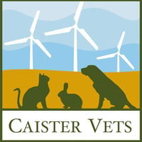Caister Vets logo