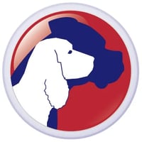 Pawsitive Solutions logo