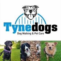 Tyne Dogs logo