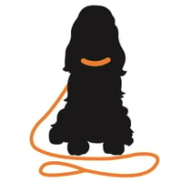 The Dog Walker - Chesterfield logo