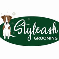 Styleash Grooming logo