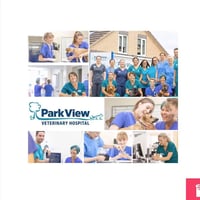 Park View Veterinary Hospital logo