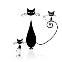 Cat's Whiskers logo