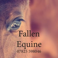Fallen Equine logo