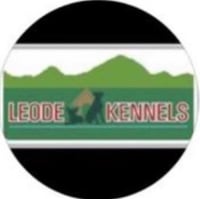 Leode Kennels logo