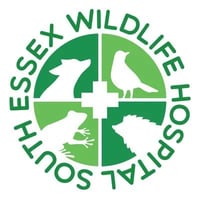 South Essex Wildlife Hospital logo