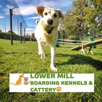 Lower Mill Boarding Kennels & Cattery logo