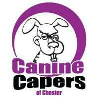 CANINE CAPERS OF CHESTER logo