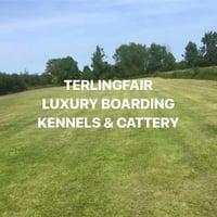 Terlingfair Kennels logo