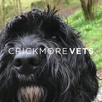 CrickmoreVets logo