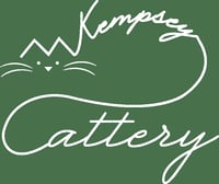 Kempsey Cattery logo