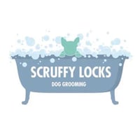 Scruffy Locks Ltd logo