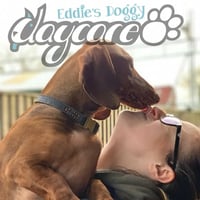 Eddie's Doggy Daycare Hertfordshire logo