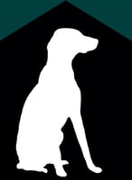 Trendy Dogs Hotel logo