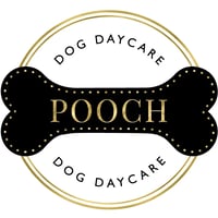 Pooch Dog Daycare logo