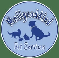 Mollycoddled Pet Services logo