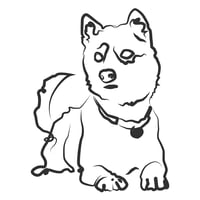 The Wiltshire Dog Lady logo