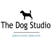 The Dog Studio logo