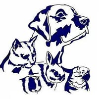 Bond Street Veterinary Clinic - Macclesfield logo