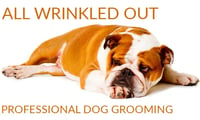 All Wrinkled Out Professional Dog Grooming logo