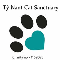 Tŷ Nant Cat Sanctuary logo