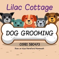 Lilac Cottage Dog Grooming logo