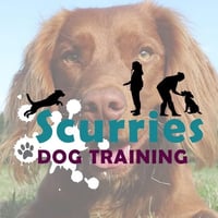 Scurries Dog Training logo