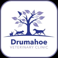 Drumahoe Veterinary Clinic logo