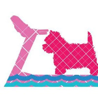Millie's Paws Hydrotherapy Centre & Grooming Studio/The Midlands School of Dog Grooming logo