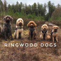 Ringwood Dogs - Isabelle Adams-Pape logo