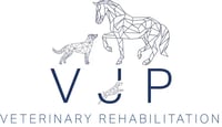 VJP Veterinary Rehabilitation: Canine Hydrotherapy - Veterinary Physiotherapy - Performance logo