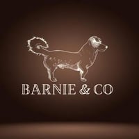 Barnie & Co logo