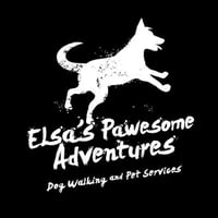 Elsa's Pawesome Adventures logo