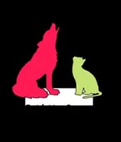 Lucky Paws Cat Sitters Guildford Award Winning Pet Care Specialists logo