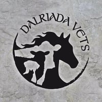 Dalriada Veterinary Surgery logo