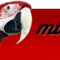 Midland Parrots logo
