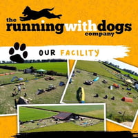 Running With Dogs logo
