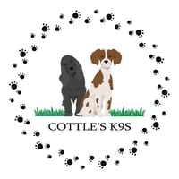 Cottle's K9s - Hayling Island logo