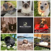 Malthouse Veterinary Group Ltd logo